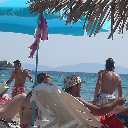In Bb - Welcome To Petunia, In Neos-marmaras