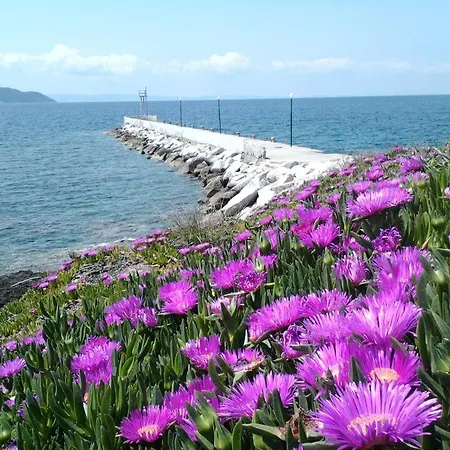 In Bb - Welcome To Petunia, In Neos-marmaras *